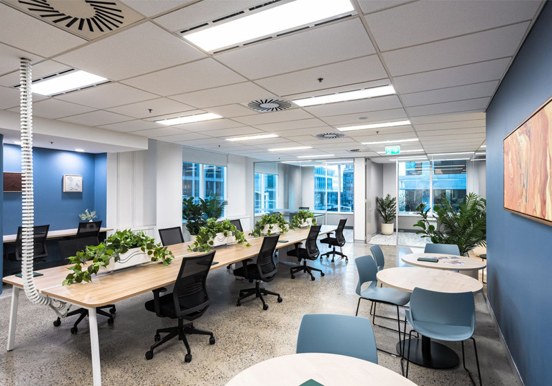 Coworking Space cung cấp nhiều lựa chọn về chỗ ngồi làm việc