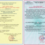 Giấy phép kinh doanh là gì?