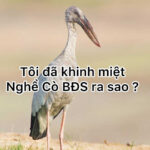 kiến thức bất động sản
