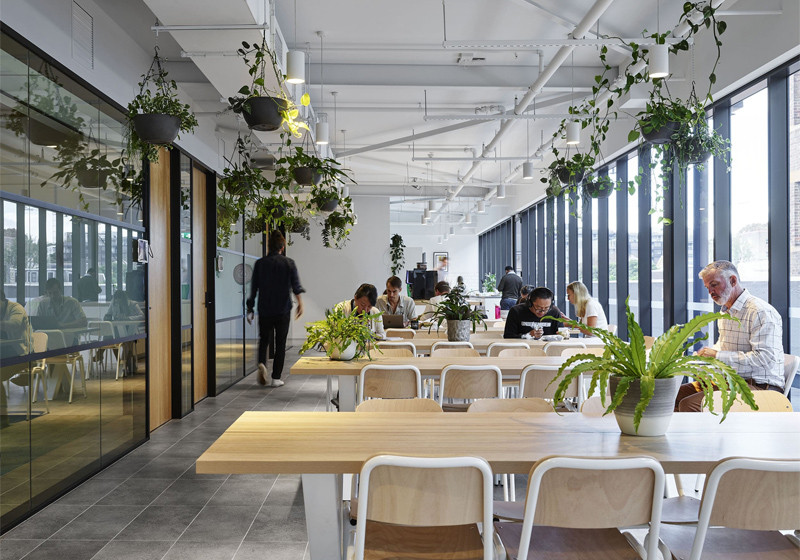 Thiết kế Coworking Space theo xu hướng xanh bền vững