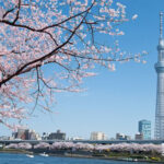 Tokyo Skytree, Sumida