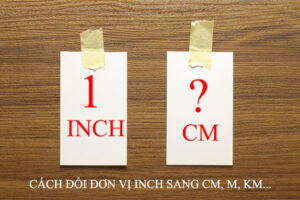 Xói mòn cơ sở thuế: Thực trạng và giải pháp chống lại