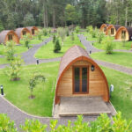 Homestay là gì