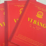 Nhà vi bằng là gì?
