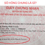 Sổ hồng chung là gì?