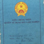 Số xanh là gì