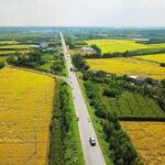 Thuế sử dụng đất là gì?