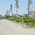 Tình hình chung đất dịch vụ