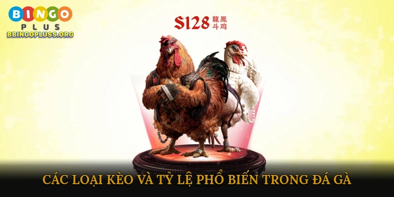 Cược đá gà trực tiếp nhanh chóng