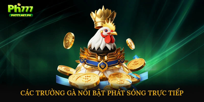 Đá gà online trực tiếp hôm nay