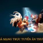 Đá gà mạng trực tuyến