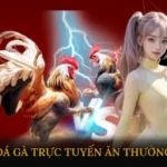 Đá gà trực tuyến ăn thưởng