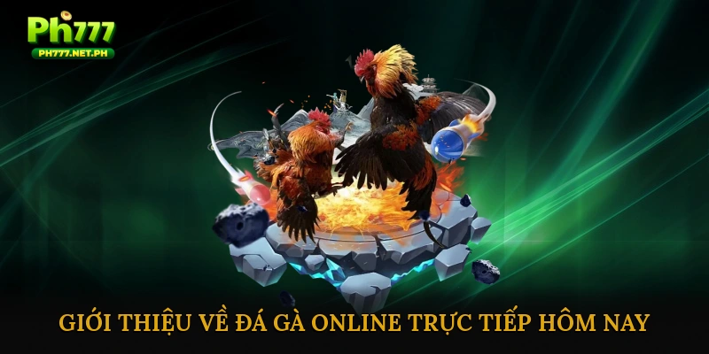 Đá gà online trực tiếp hôm nay