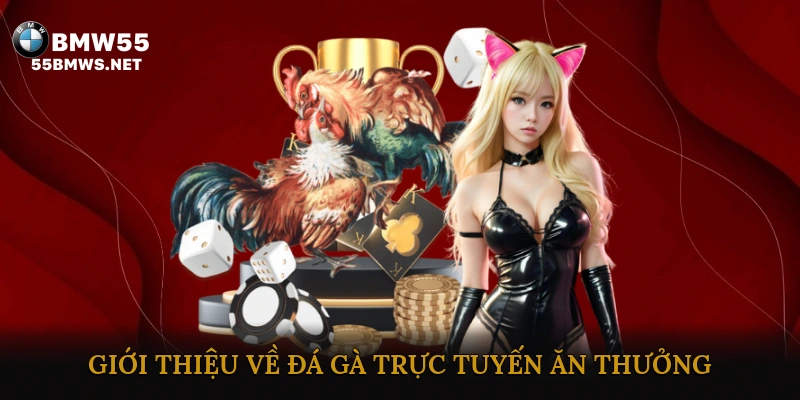 Đá gà trực tuyến ăn thưởng