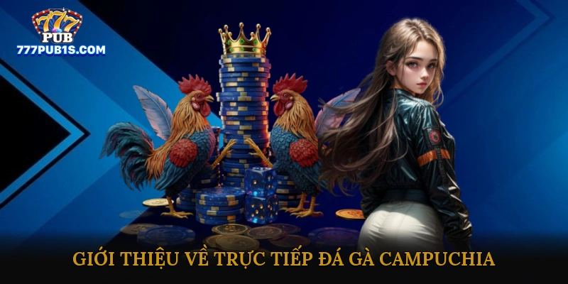 Trực tiếp đá gà campuchia hấp dẫn