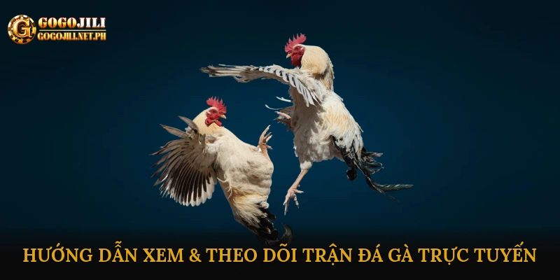 Đá gà mạng trực tuyến ăn thưởng