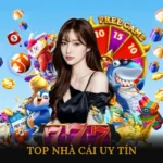 Top nhà cái uy tín