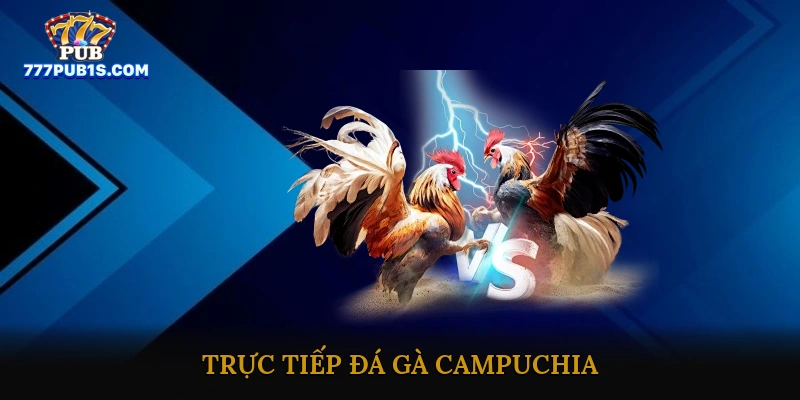 Trực tiếp đá gà Campuchia