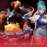 Đá gà kê chiến bất bại