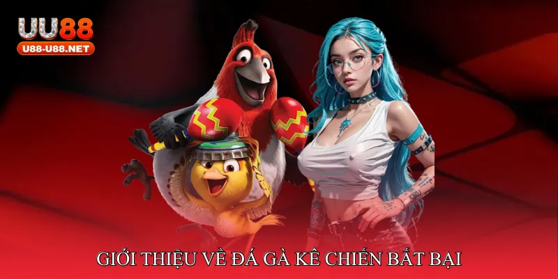 Đá Gà Kê Chiến Bất Bại