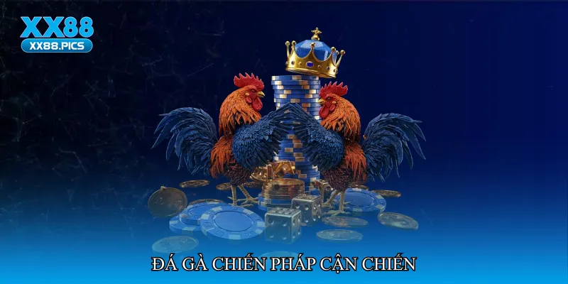 Đá gà chiến pháp cận chiến