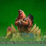 Đá gà kiểm soát khoảng cách