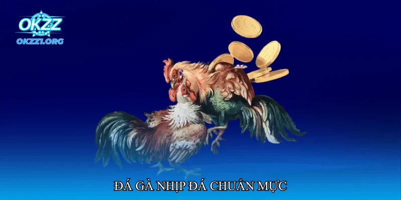 Đá gà nhịp đá chuẩn mực