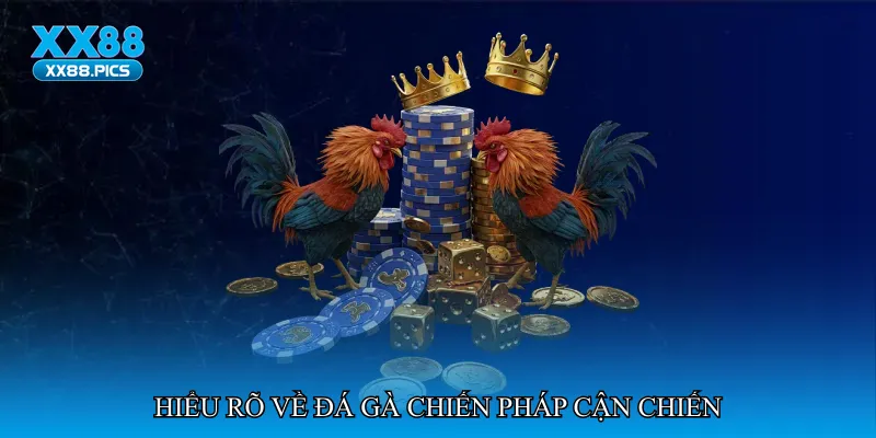 Đá gà chiến pháp cận chiến