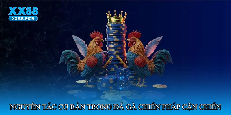 Đá gà chiến pháp cận chiến
